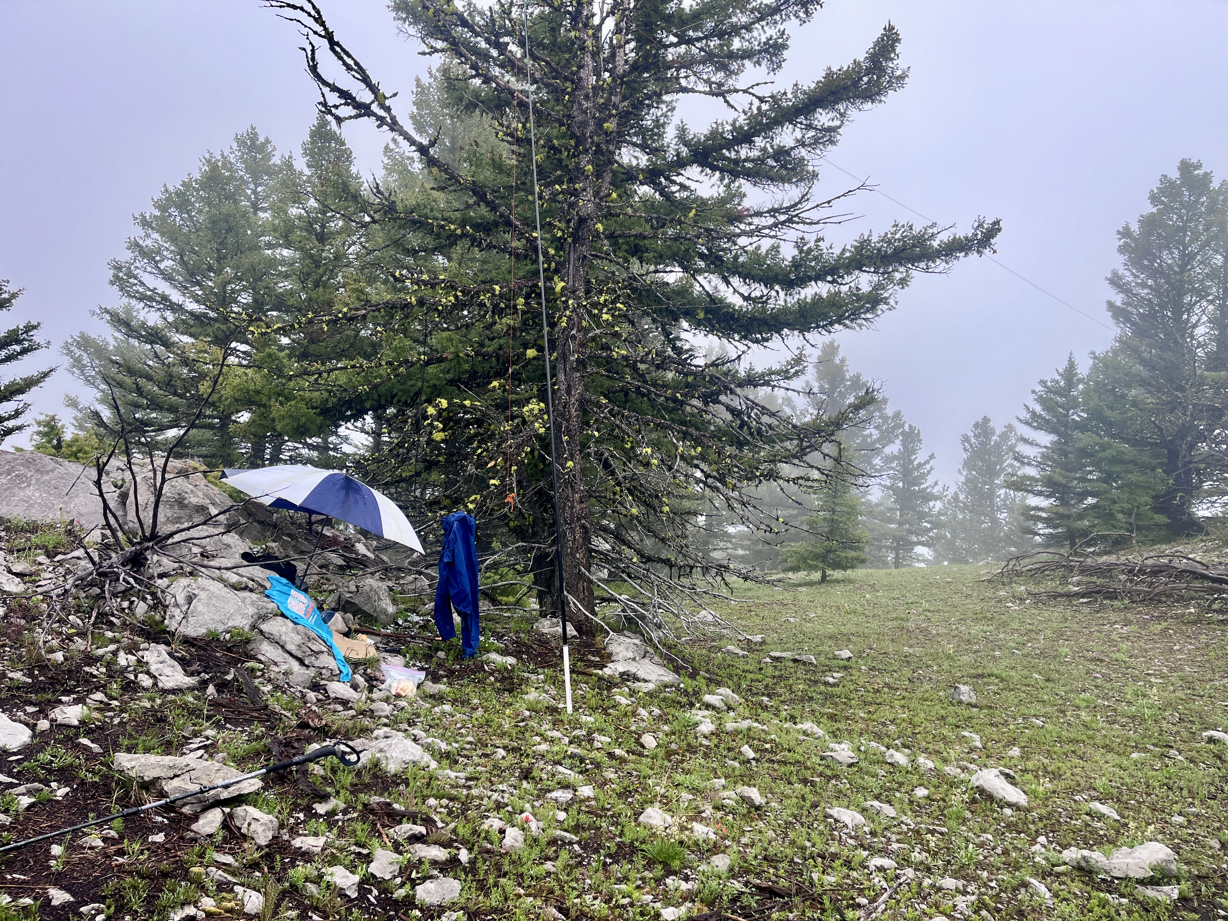 Ham radio shack on top of Sheep Mountain. 